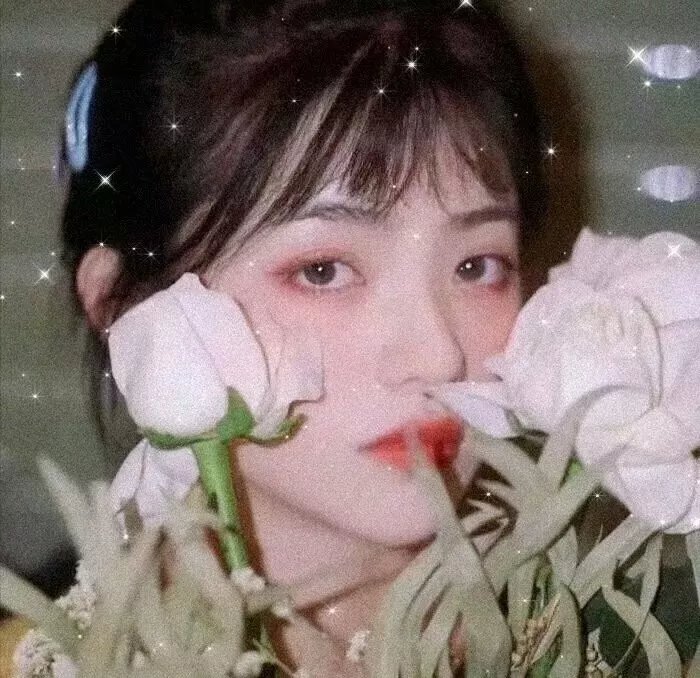 骄傲的马